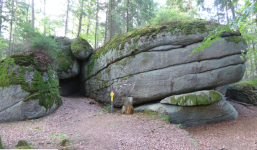 Bärenwald, Großer und Kleiner Bärentrail